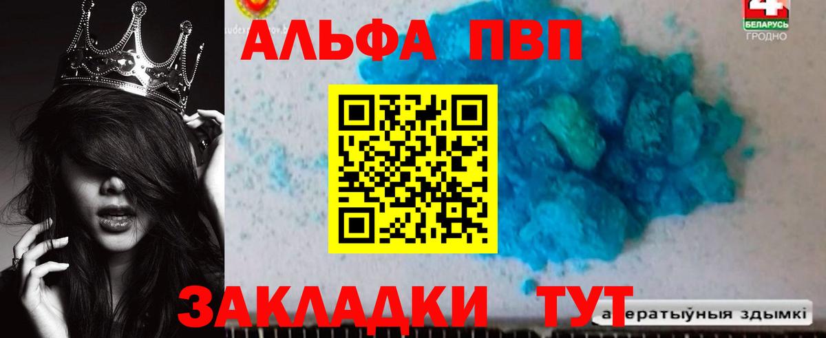 Альфа ПВП СК Рыбинск