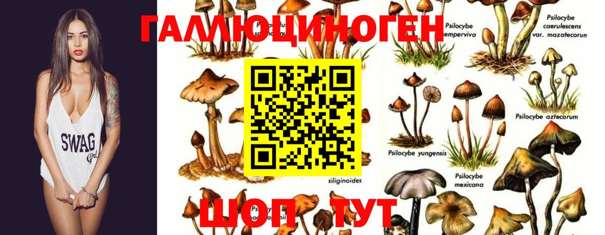Галлюциногенные грибы Magic Shrooms  Вход с VPN  Рыбинск 